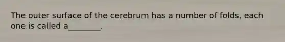 The outer surface of the cerebrum has a number of folds, each one is called a________.