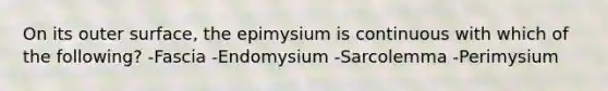 On its outer surface, the epimysium is continuous with which of the following? -Fascia -Endomysium -Sarcolemma -Perimysium