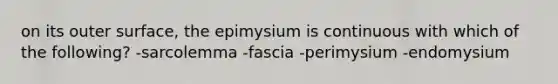 on its outer surface, the epimysium is continuous with which of the following? -sarcolemma -fascia -perimysium -endomysium