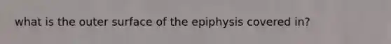 what is the outer surface of the epiphysis covered in?