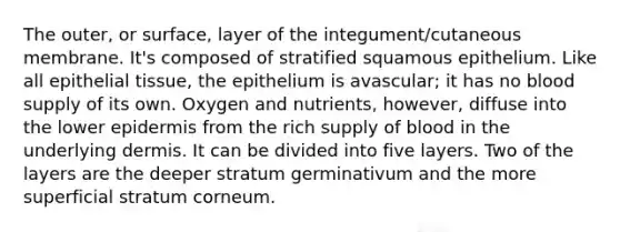 The outer, or surface, layer of the integument/cutaneous membrane. It's composed of stratified squamous epithelium. Like all epithelial tissue, the epithelium is avascular; it has no blood supply of its own. Oxygen and nutrients, however, diffuse into the lower epidermis from the rich supply of blood in the underlying dermis. It can be divided into five layers. Two of the layers are the deeper stratum germinativum and the more superficial stratum corneum.