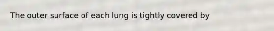The outer surface of each lung is tightly covered by