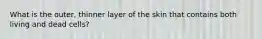 What is the outer, thinner layer of the skin that contains both living and dead cells?