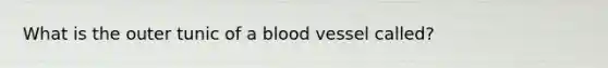 What is the outer tunic of a blood vessel called?