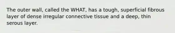 The outer wall, called the WHAT, has a tough, superficial fibrous layer of dense irregular <a href='https://www.questionai.com/knowledge/kYDr0DHyc8-connective-tissue' class='anchor-knowledge'>connective tissue</a> and a deep, thin serous layer.