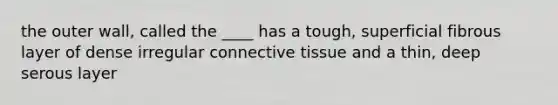 the outer wall, called the ____ has a tough, superficial fibrous layer of dense irregular <a href='https://www.questionai.com/knowledge/kYDr0DHyc8-connective-tissue' class='anchor-knowledge'>connective tissue</a> and a thin, deep serous layer