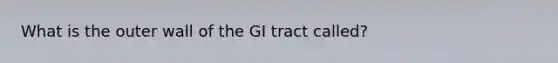 What is the outer wall of the GI tract called?