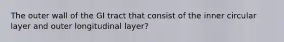 The outer wall of the GI tract that consist of the inner circular layer and outer longitudinal layer?