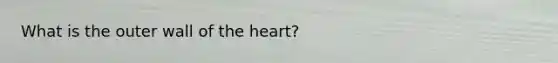 What is the outer wall of the heart?