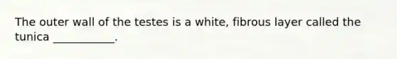 The outer wall of the testes is a white, fibrous layer called the tunica ___________.