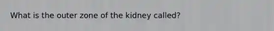 What is the outer zone of the kidney called?