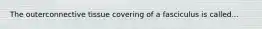 The outerconnective tissue covering of a fasciculus is called...
