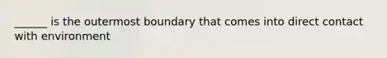 ______ is the outermost boundary that comes into direct contact with environment