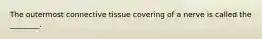 The outermost connective tissue covering of a nerve is called the ________.