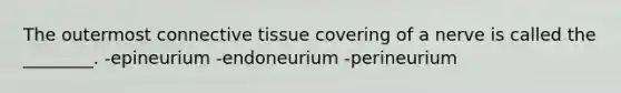 The outermost <a href='https://www.questionai.com/knowledge/kYDr0DHyc8-connective-tissue' class='anchor-knowledge'>connective tissue</a> covering of a nerve is called the ________. -epineurium -endoneurium -perineurium