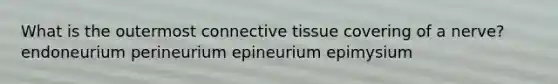 What is the outermost connective tissue covering of a nerve? endoneurium perineurium epineurium epimysium