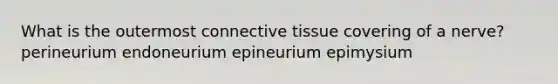 What is the outermost connective tissue covering of a nerve? perineurium endoneurium epineurium epimysium