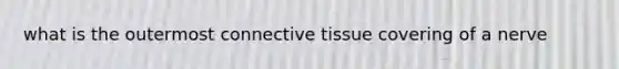 what is the outermost connective tissue covering of a nerve