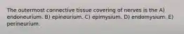 The outermost connective tissue covering of nerves is the A) endoneurium. B) epineurium. C) epimysium. D) endomysium. E) perineurium.