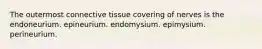 The outermost connective tissue covering of nerves is the endoneurium. epineurium. endomysium. epimysium. perineurium.