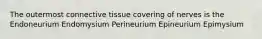 The outermost connective tissue covering of nerves is the Endoneurium Endomysium Perineurium Epineurium Epimysium