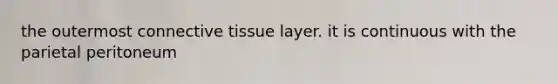 the outermost connective tissue layer. it is continuous with the parietal peritoneum