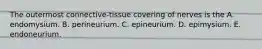 The outermost connective-tissue covering of nerves is the A. endomysium. B. perineurium. C. epineurium. D. epimysium. E. endoneurium.