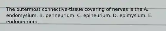 The outermost connective-tissue covering of nerves is the A. endomysium. B. perineurium. C. epineurium. D. epimysium. E. endoneurium.