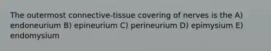 The outermost connective-tissue covering of nerves is the A) endoneurium B) epineurium C) perineurium D) epimysium E) endomysium