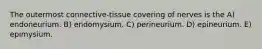 The outermost connective-tissue covering of nerves is the A) endoneurium. B) endomysium. C) perineurium. D) epineurium. E) epimysium.