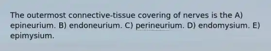 The outermost connective-tissue covering of nerves is the A) epineurium. B) endoneurium. C) perineurium. D) endomysium. E) epimysium.