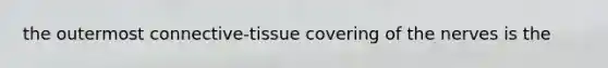 the outermost connective-tissue covering of the nerves is the