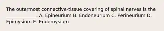 The outermost connective-tissue covering of spinal nerves is the _____________. A. Epineurium B. Endoneurium C. Perineurium D. Epimysium E. Endomysium