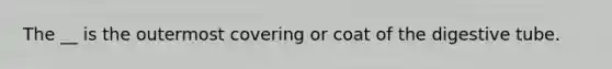 The __ is the outermost covering or coat of the digestive tube.