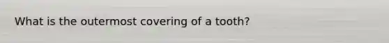 What is the outermost covering of a tooth?