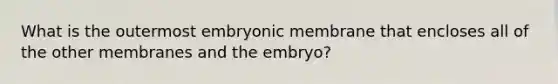 What is the outermost embryonic membrane that encloses all of the other membranes and the embryo?