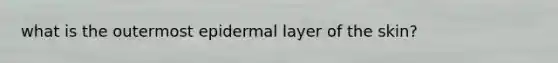 what is the outermost epidermal layer of the skin?