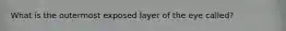 What is the outermost exposed layer of the eye called?