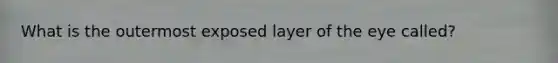 What is the outermost exposed layer of the eye called?