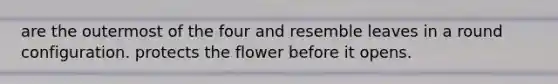 are the outermost of the four and resemble leaves in a round configuration. protects the flower before it opens.