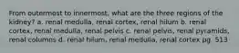 From outermost to innermost, what are the three regions of the kidney? a. renal medulla, renal cortex, renal hilum b. renal cortex, renal medulla, renal pelvis c. renal pelvis, renal pyramids, renal columns d. renal hilum, renal medulla, renal cortex pg. 513