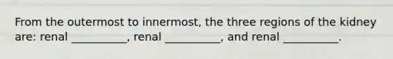 From the outermost to innermost, the three regions of the kidney are: renal __________, renal __________, and renal __________.