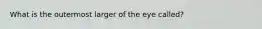 What is the outermost larger of the eye called?