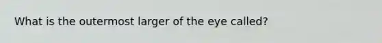 What is the outermost larger of the eye called?