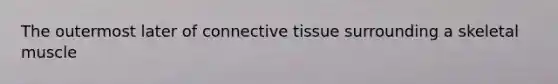 The outermost later of connective tissue surrounding a skeletal muscle