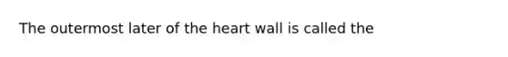 The outermost later of the heart wall is called the