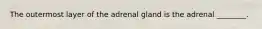 The outermost layer of the adrenal gland is the adrenal ________.