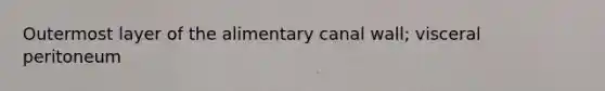Outermost layer of the alimentary canal wall; visceral peritoneum