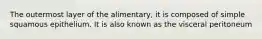 The outermost layer of the alimentary, it is composed of simple squamous epithelium. It is also known as the visceral peritoneum