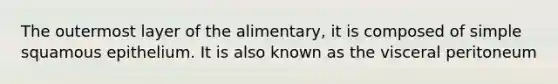The outermost layer of the alimentary, it is composed of simple squamous epithelium. It is also known as the visceral peritoneum